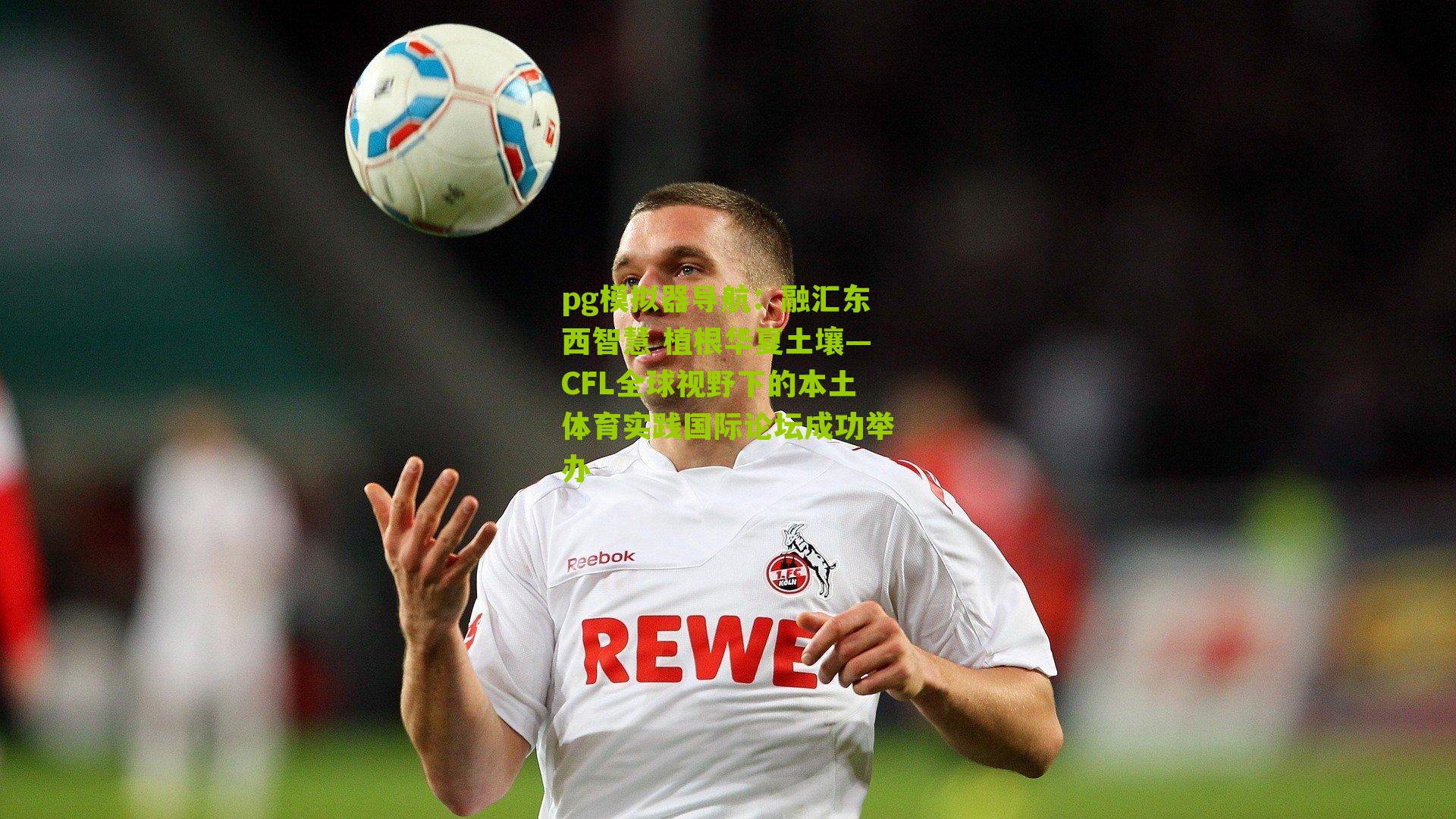 pg模拟器导航：融汇东西智慧 植根华夏土壤—CFL全球视野下的本土体育实践国际论坛成功举办